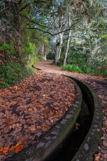 Hiking trail with levada