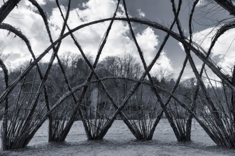 Willow Palace in the Nethe Valley