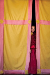 Young monk looking out from behind a curtain