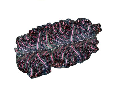 Persian carpet bedford's flatworm