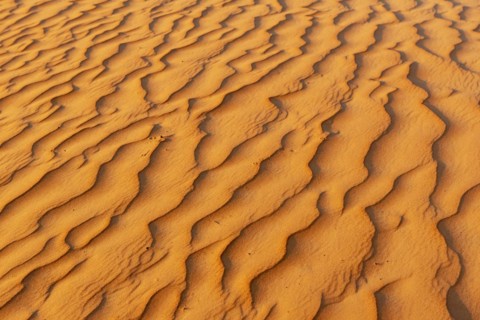 Natural patterns and ripples in the sand