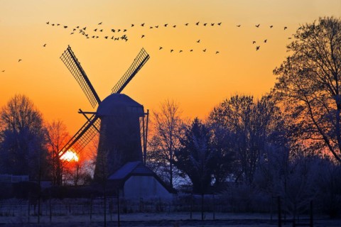 Dueffellandschaft with the windmill in Mehr at sunrise