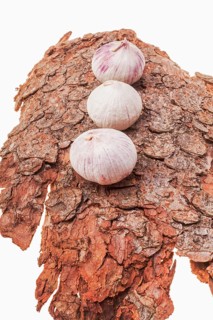 French garlic