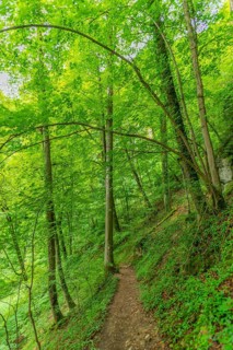 Urach Waterfall Premium Hiking Trail
