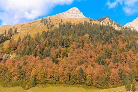 Karwendel Mountains near Ahornboden