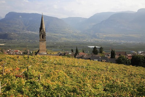 Parish Church of St. Quirikus and Julitta in Tramin with the highest brick church tower in Tyrol