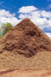 Wood waste and scrap