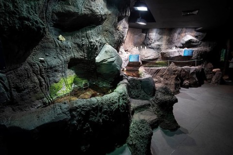 Exhibitions and aquariums at the Aquarium