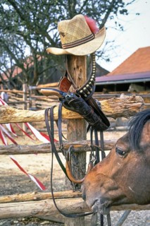 Colt+holster+horse+hat