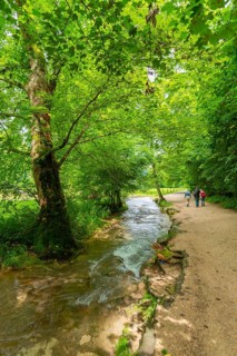 Premium hiking trail Wasserfallsteig