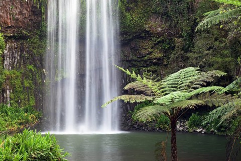 Millaa Millaa Waterfall