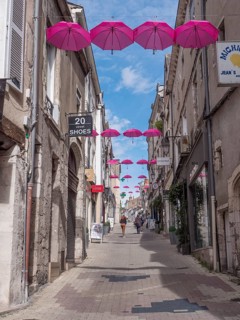 Pink umbrellas in the air