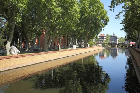 Historic bridge houses on the bridge over the Nahe with avenue