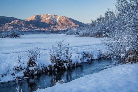 Winter landscape in the Murnauer moss with Hoernle 1548m in the Ammergau Alps