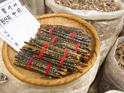 Dried millipedes for sale