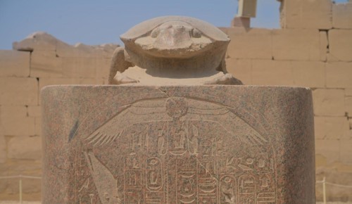 Large scarab