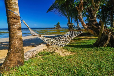 Hammock hanging between plam trees