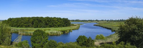 River landscape of the meandering Peene in the Peene valley near Randow