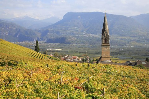Parish Church of St. Quirikus and Julitta in Tramin with the highest brick church tower in Tyrol