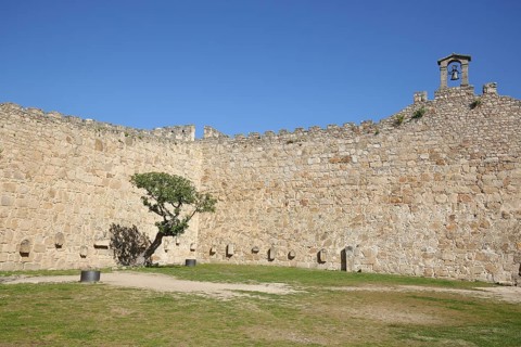 Inner courtyard with bell gable and fig tree from the castle and historic city fortification Castillo