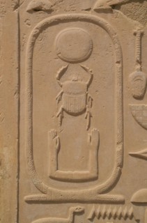Scarab