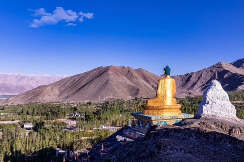 Giant Buddha at Stok Monastery or Stok Gompa