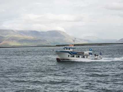 Boat for whale watching