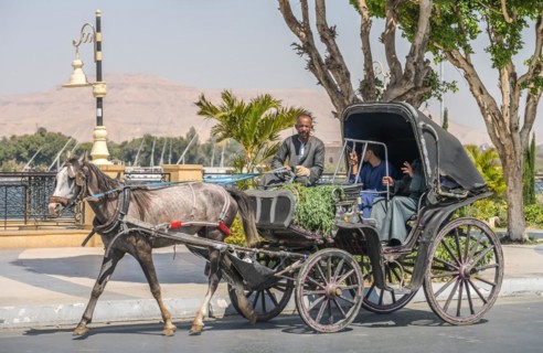 Horse-drawn carriage