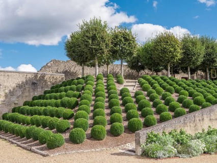Gardens of the Renaissance Castle of Amboise