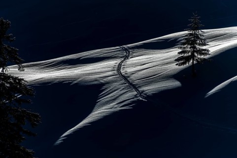 Backlit trees with ski touring track on snowy mountain meadow