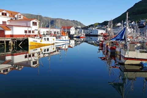 Harbour with small fishing boats reflected in the calm water