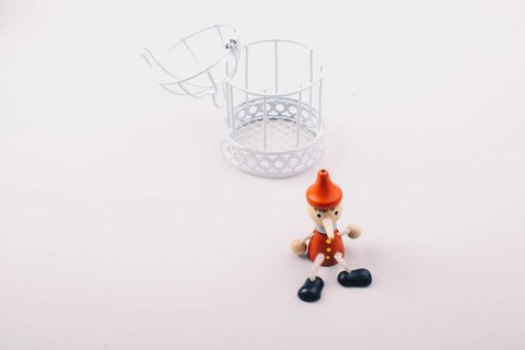 Metal cage and Little puppet pinocchio made of wood