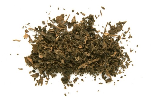 Indian patchouli
