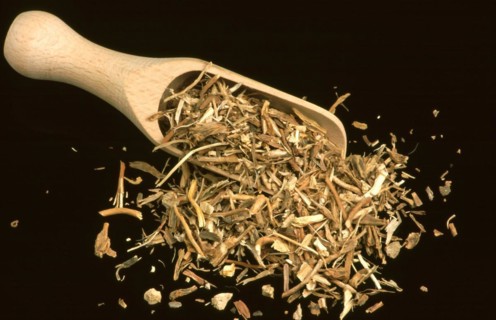 Medicinal herbs: Sarsaparilla root