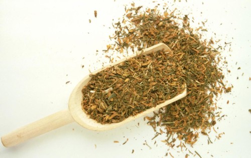 Medicinal plant