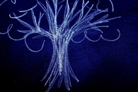 Hand drawing of tree with chalk on a blackboard