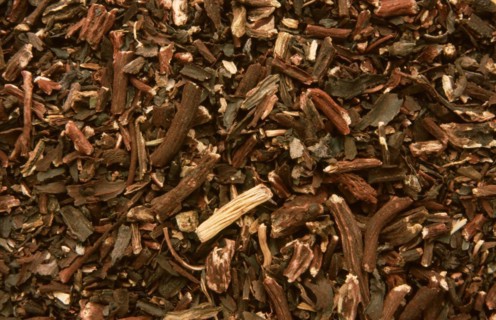 Alkanna tinctoria