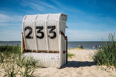 Beach chair on the sandy beach