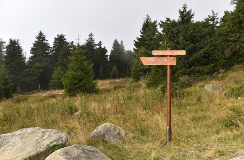 Signpost in the Harz Mountains at the Brocken