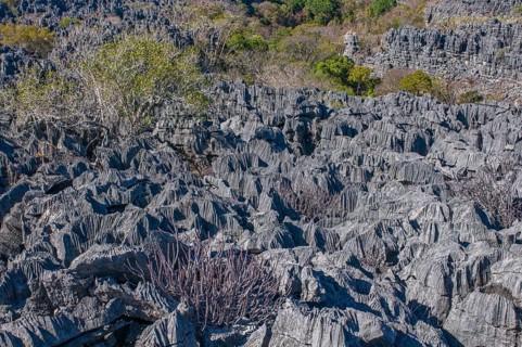 Tsingy plateau in the Ankarana Special Reserve