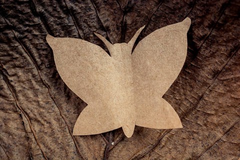 Butterfly cut of paper on brown paper in view