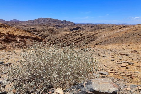 Landscape at Kuiseb Pass