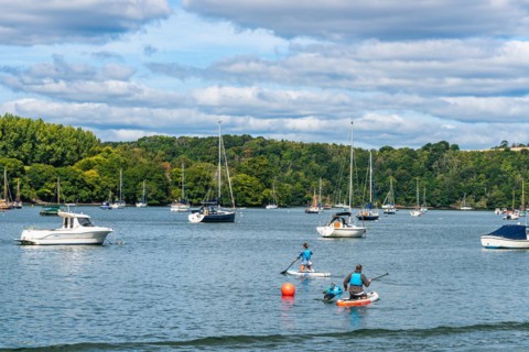 People on Paddle Boards and Yachts on River Dart over Dittisham and Greenway Quay