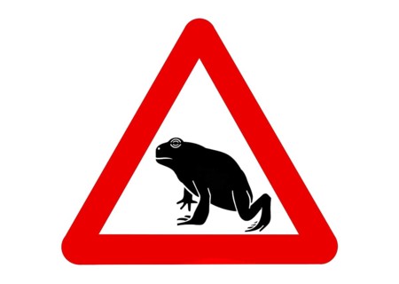 Warning sign for migrating amphibians