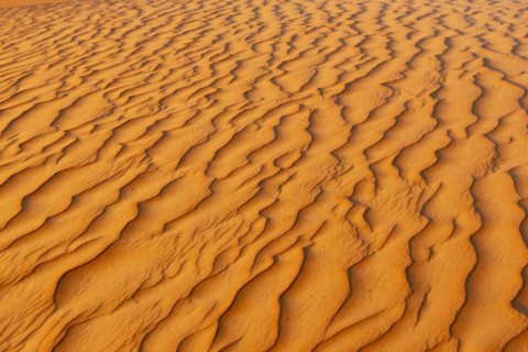 Natural patterns and ripples in the sand
