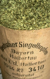 Dried brewers hops