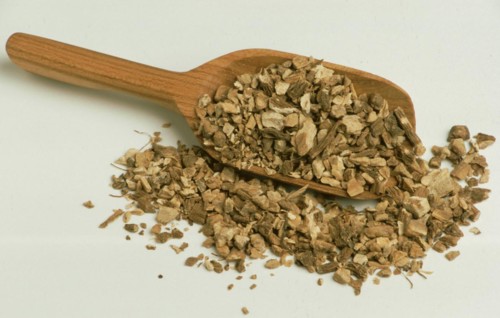 Medicinal herbs: elecampane