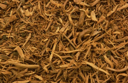 Medicinal plant Krameria triandra