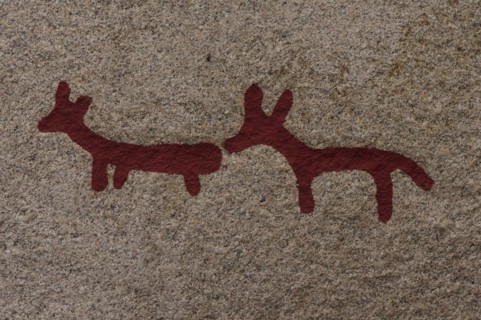 Rock carvings with animals