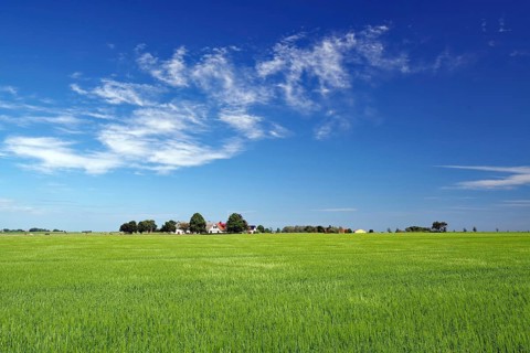 Wide landscape with fields and houses